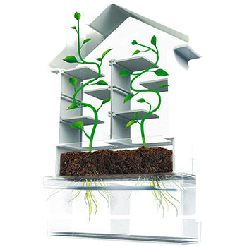 Casa das Plantas Ambarscience