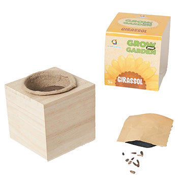 Grow your Garden Girassóis Ambarscience