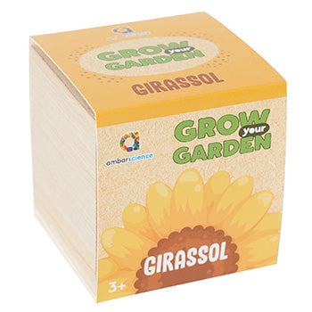 Grow your Garden Girassóis Ambarscience