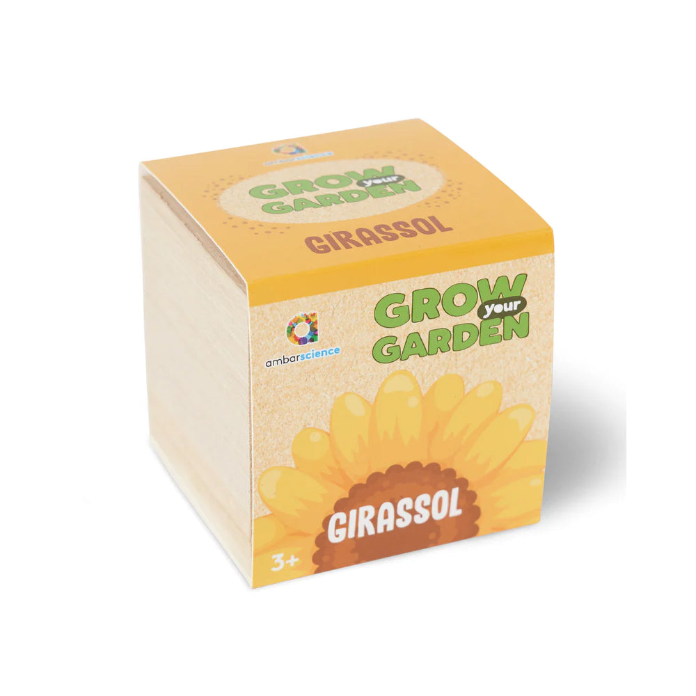 Grow your Garden Girassóis Ambarscience