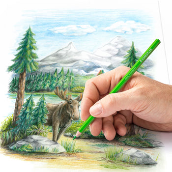 Lápis Cor 12un Cx Metal  STAEDTLER 146C M12  Design Journey