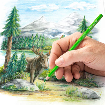 Lápis Cor 48un Cx Metal STAEDTLER 146C M48 Design Journey