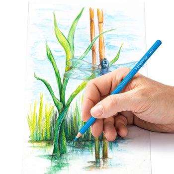 Lápis Cor Aguarelável 12un Cx Metal STAEDTLER 14610C M12