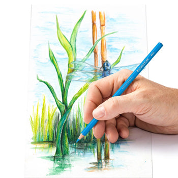 Lápis Cor Aguarelável 24un Cx Metal STAEDTLER 14610C M12