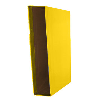 Caixa Cartao Micro p/Pasta Arquivo 310x290 L60 Amarelo