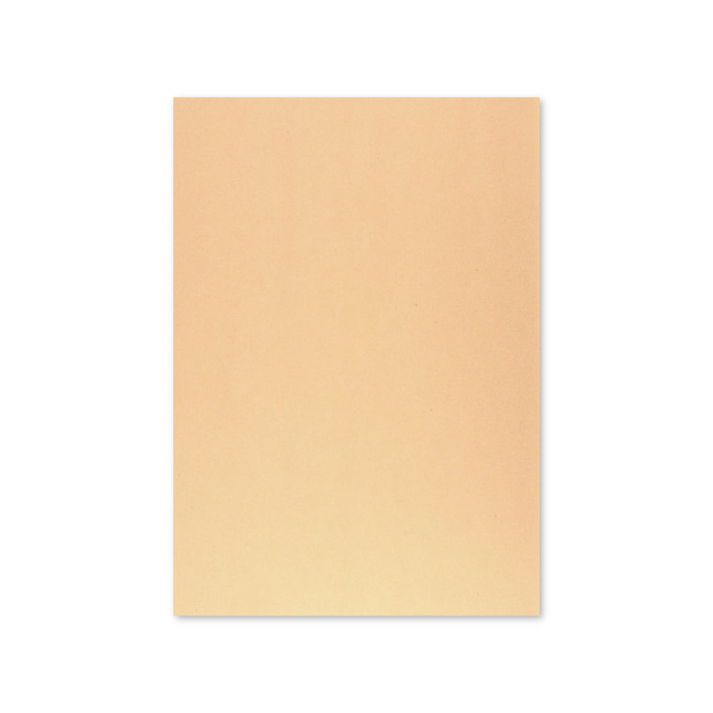 Cartolina 50x65cm Papaia 6 250g 1 Folha