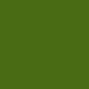 Cartolina A4 Verde Safari 185g Canson 50 Folhas