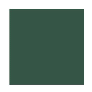Cartolina A3 Verde Amazonas 185g Canson 50 Folhas