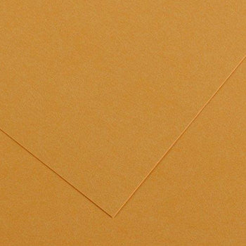 Cartolina 50x65cm Couro 185g 1 Folha Canson