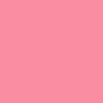 Cartolina 50x65cm Rosa Chicla 185g 1 Folha Canson