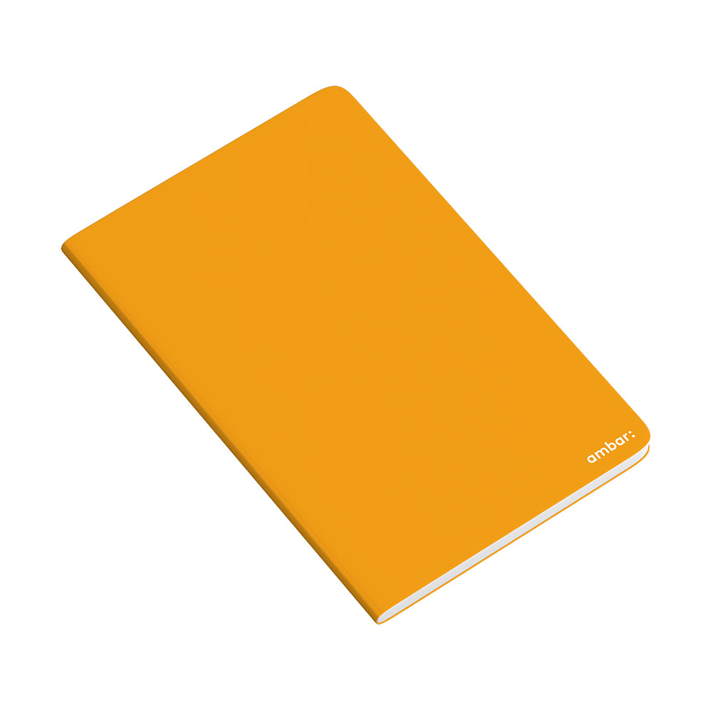 Caderno Agrafado A4 Quadric PP Ambar School Sortido 48Fls 1u