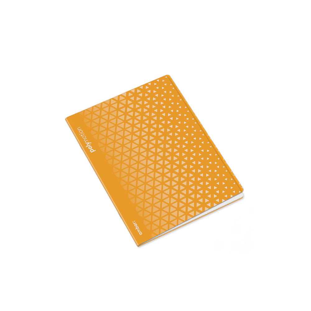 Caderno Agrafado A5 Pautado PP Ambar Triang Sortido 48Fls 1u