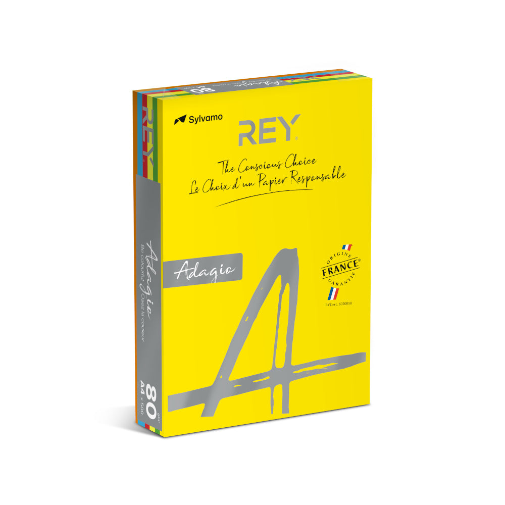 Papel Fotocopia 5 Cores Fortes A4 080gr 5x100=500Fls