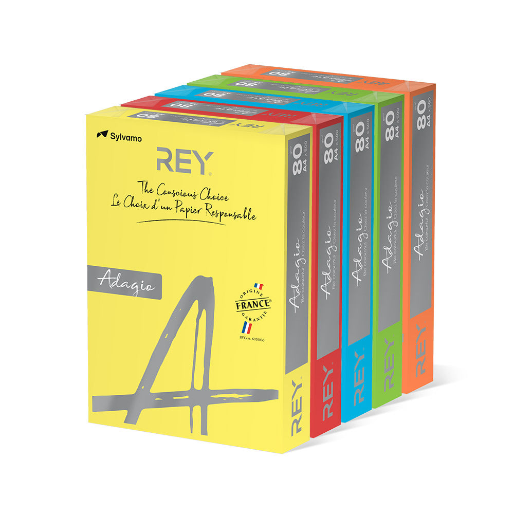 Papel Fotocopia 5 Cores Fortes A4 080gr 5x100=500Fls