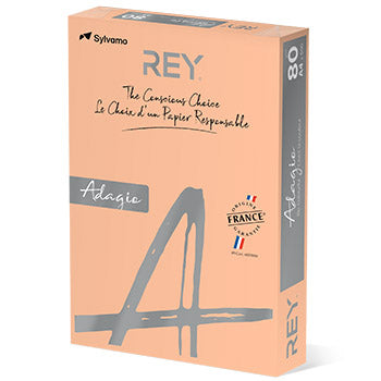 Papel Fotocopia Salmao/Beje Adagio(cd91) A4 80gr 1x500Fls