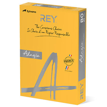 Papel Fotocopia Ouro/Damasco Int Adagio(cd60) A4 80g 1x500F