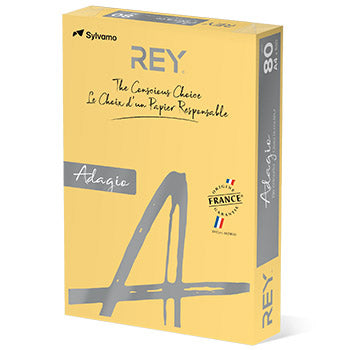 Papel Fotocopia Creme/Manteiga Adagio(cd02) A4 80gr  1x500F