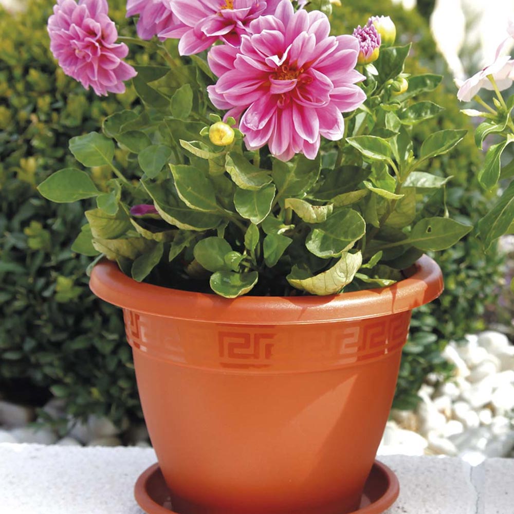 Vaso Redondo 25cm Terracota