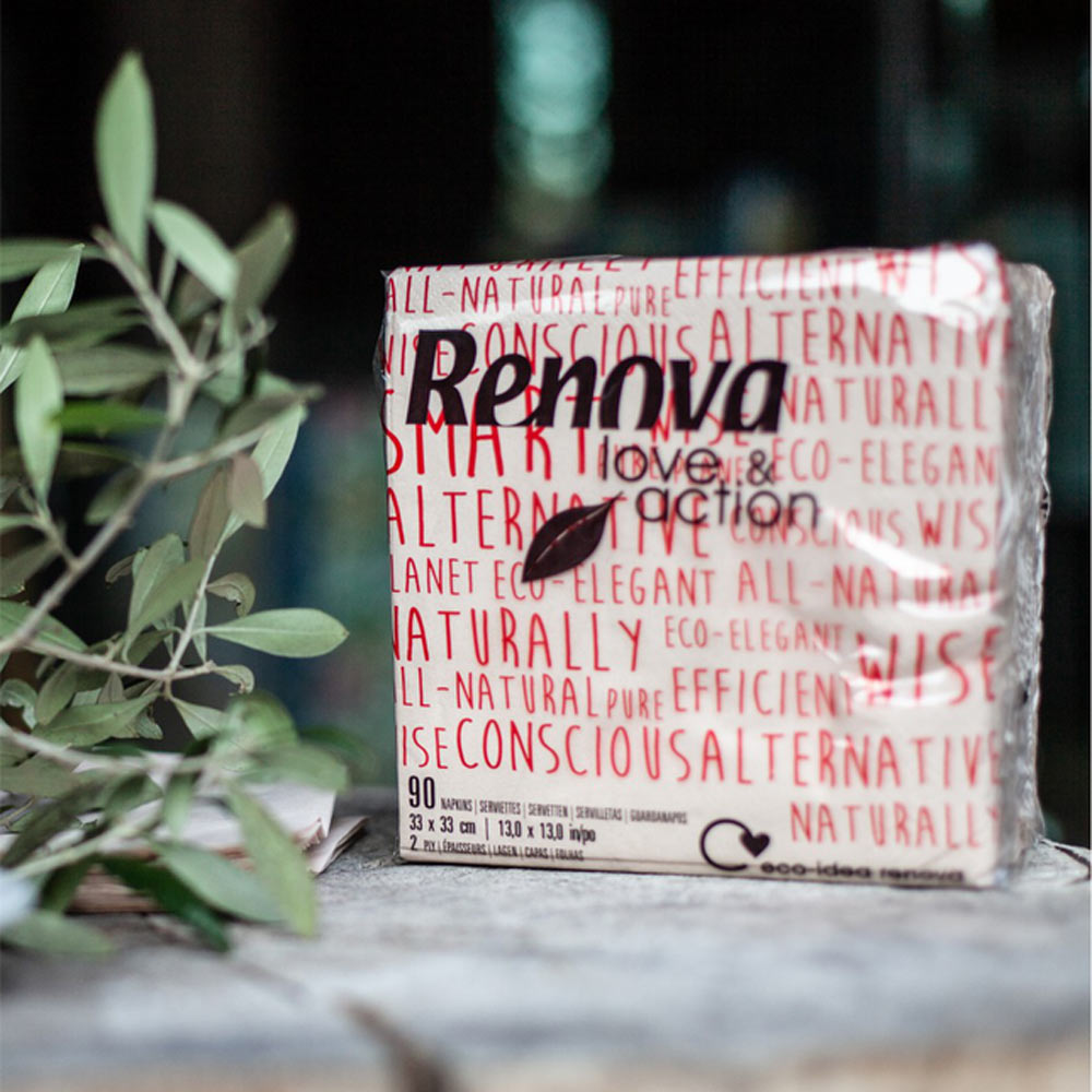 Guardanapos 33x33 2Fls Reciclados Renova Love&Action 90un