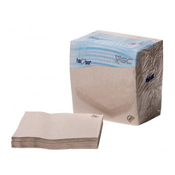 Guardanapos 40x40 2Fls Reciclados Nature P&P 100un
