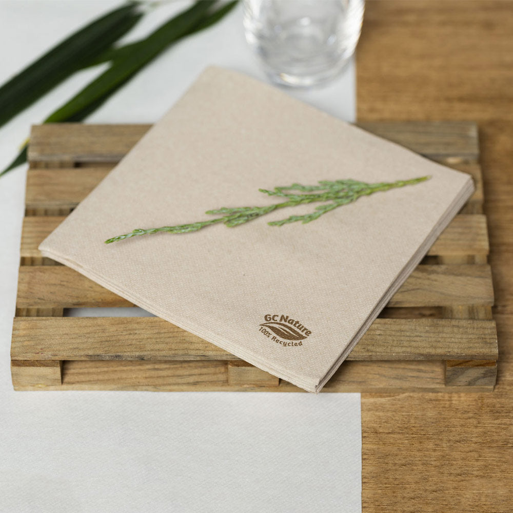 Guardanapos 33x33 2Fls Reciclados Nature P&P 50un