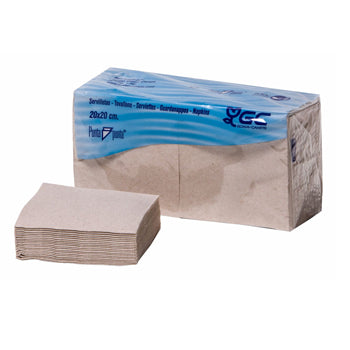 Guardanapos 20x20 2Fls Reciclados Nature P&P 100% 100un