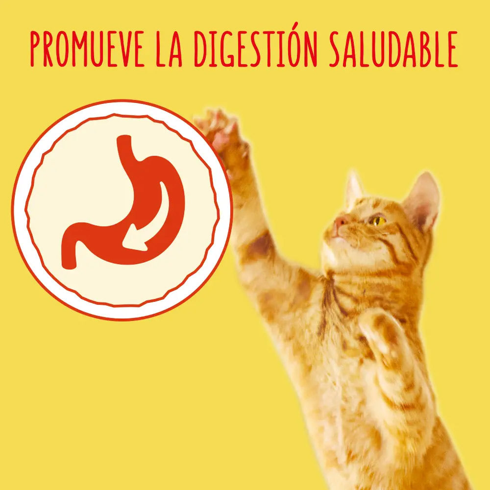 Alimento Seco para Gato Friskies Carne/Legumes Adulto 1,5Kg