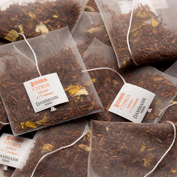 Chá Rooibos em Bolsas Citrus 24un