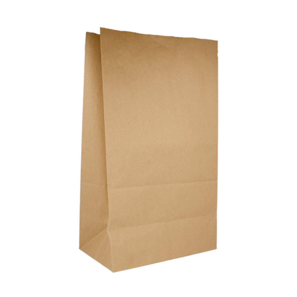 Saco sem Asas 25x15x45cm Papel Kraft 070g 1un