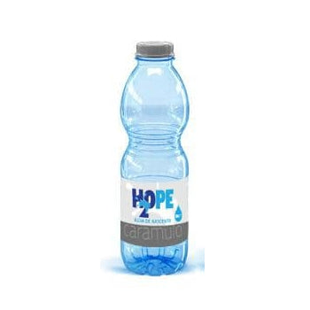 Água de Nascente H2OPE 0,33L Pack 24un