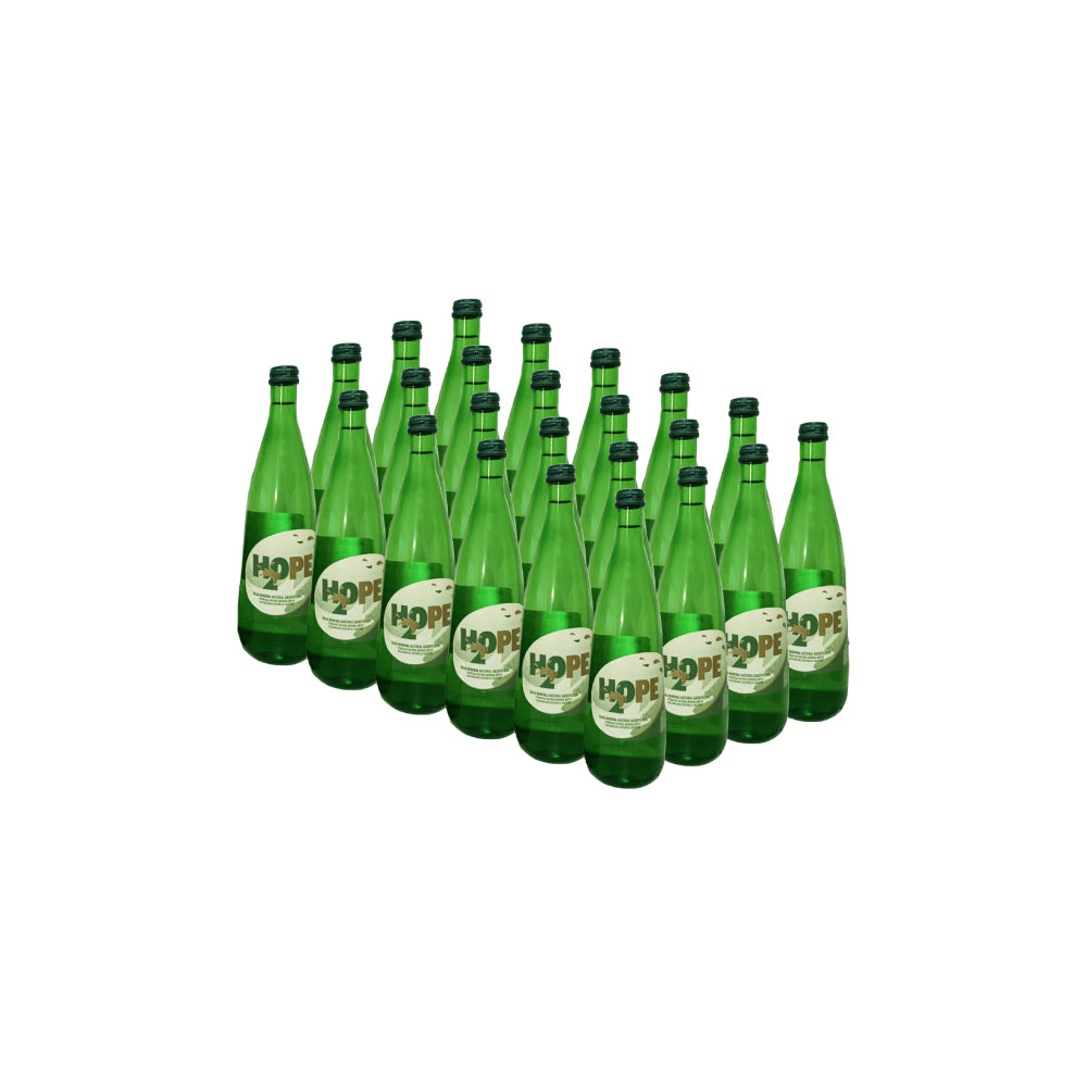 Água com Gás H2OPE 0,25L Pack 24un