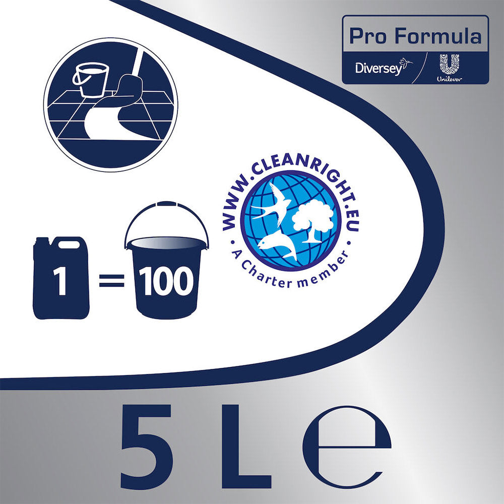 Detergente Multiusos Frescura de Pinho Cif PF 5L