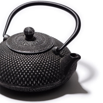 Bule Ferro Fundido com Filtro STEPPES 0.4L Prata Polida