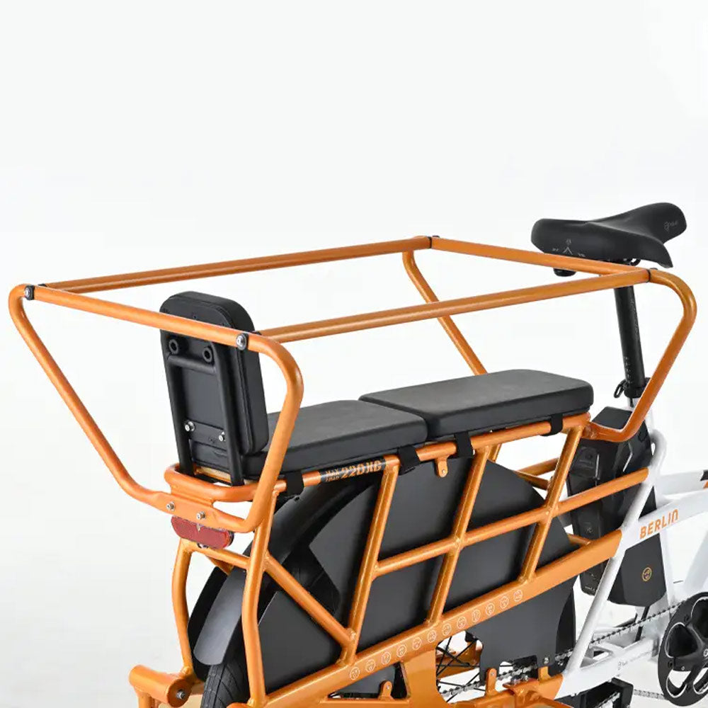 Bicicleta de Carga Elétrica YOUIN Berlin