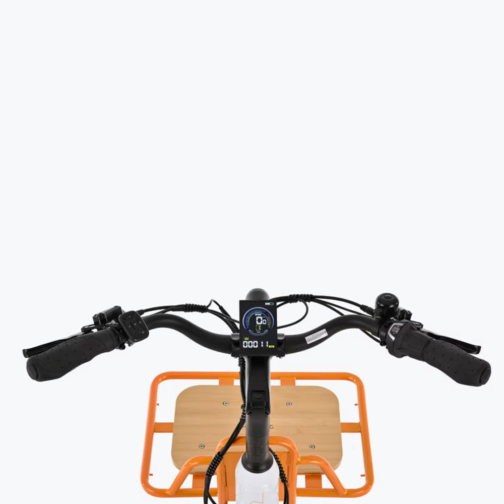 Bicicleta de Carga Elétrica YOUIN Berlin