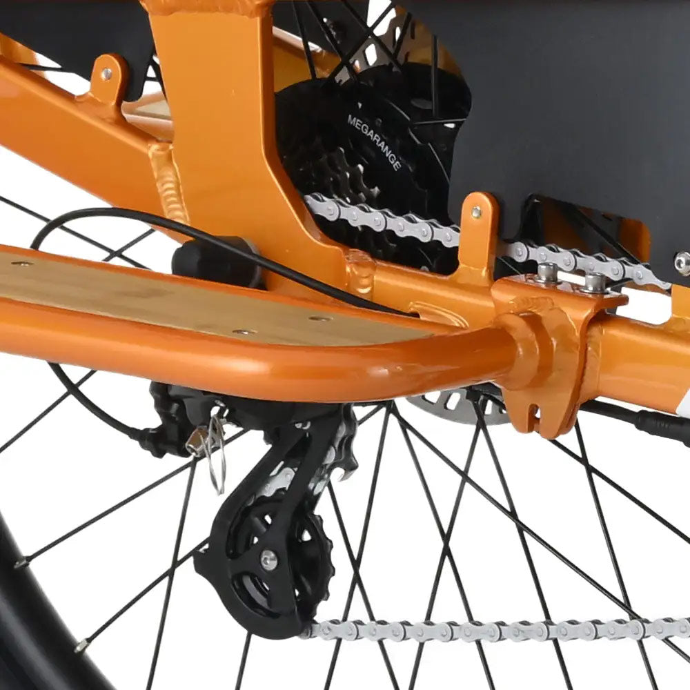 Bicicleta de Carga Elétrica YOUIN Berlin