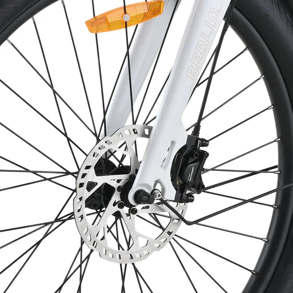 Bicicleta de Carga Elétrica YOUIN Berlin