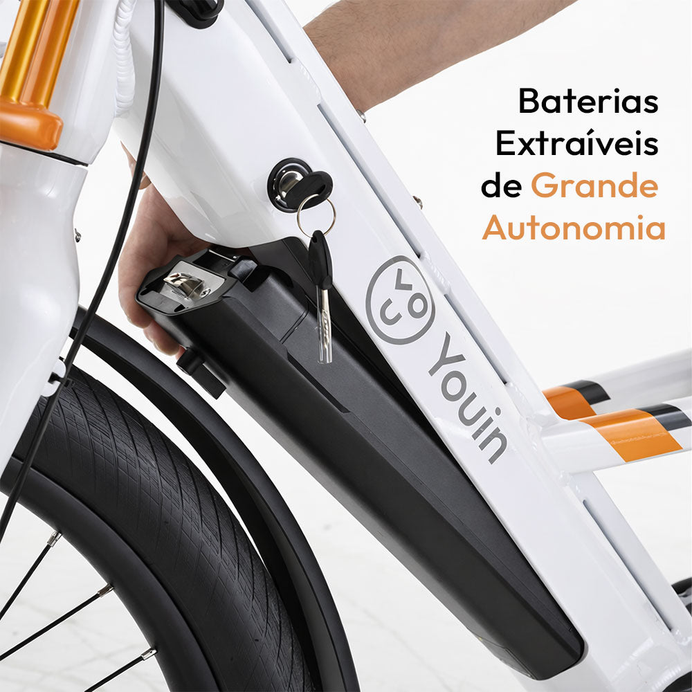 Bicicleta de Carga Elétrica YOUIN Berlin