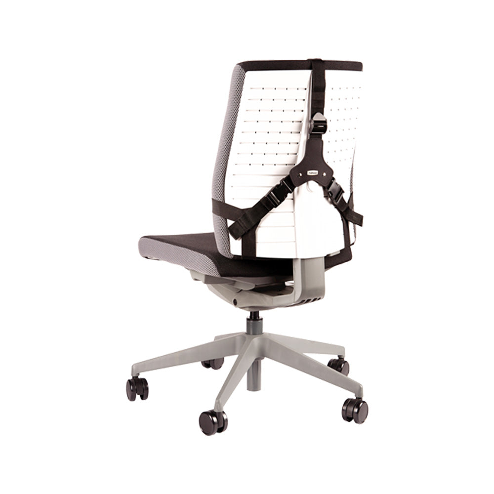 Encosto Lombar Profissional Series