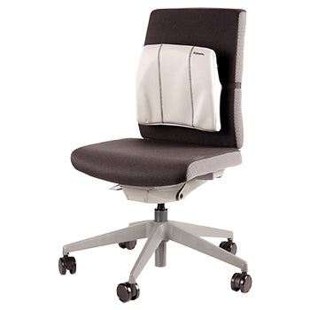 Encosto Lombar Espuma Ergonómico