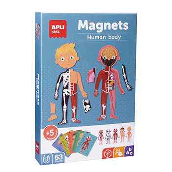 Jogo Educativo Magnético Apli Corpo Humano 63 Peças