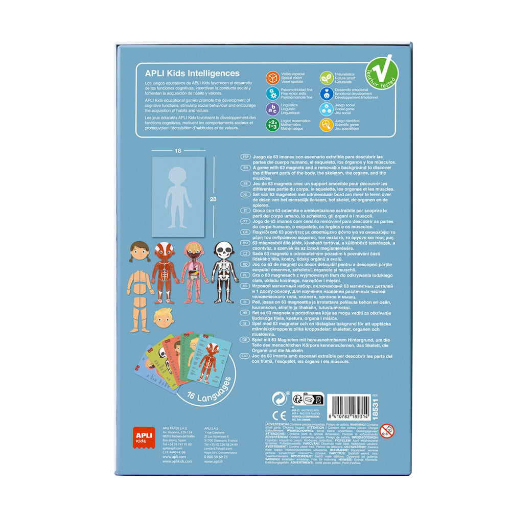 Jogo Educativo Magnético Apli Corpo Humano 63 Peças