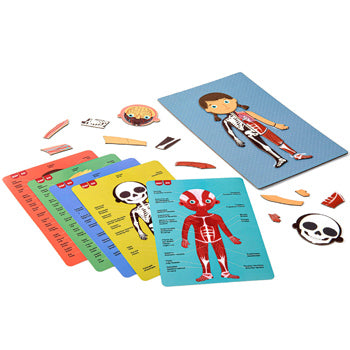 Jogo Educativo Magnético Apli Corpo Humano 63 Peças