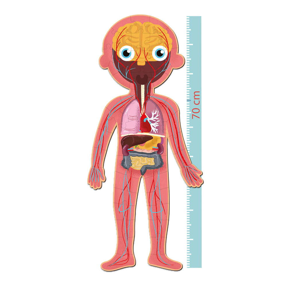 Jogo Educativo Puzzle Apli Corpo Humano 240 Peças