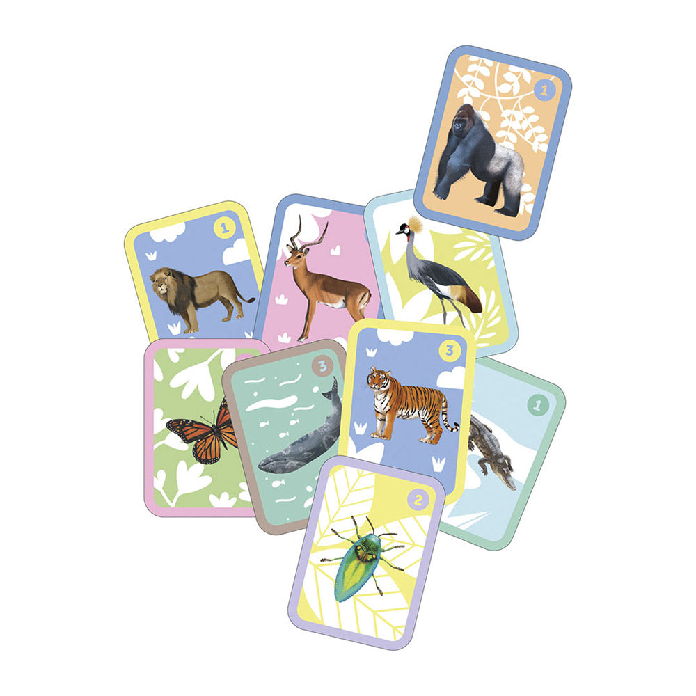 Jogo Apli Kids Família Animais 48 Cartas