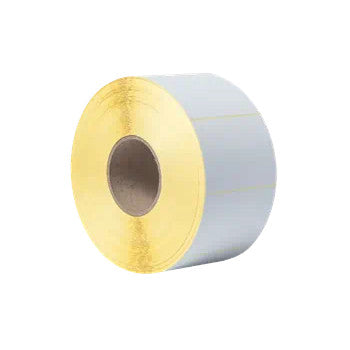 Etiquetas Pré-Cortadas Semi-Brilhantes 102x74mm 4 Rolos