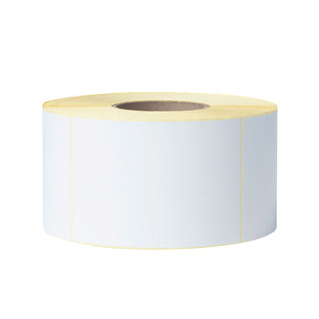 Etiquetas Pré-Cortadas Mate 102x150mm 4 Rolos