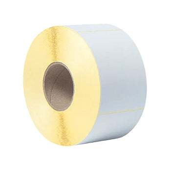 Etiquetas Pré-Cortadas Mate 102x150mm 4 Rolos