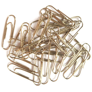 Clips N 02 28mm SmartD cx100