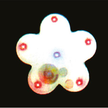 Flor Magnética LEDs 1 Azul / 5 Vermelhos